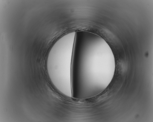 X0000091060412200708061004