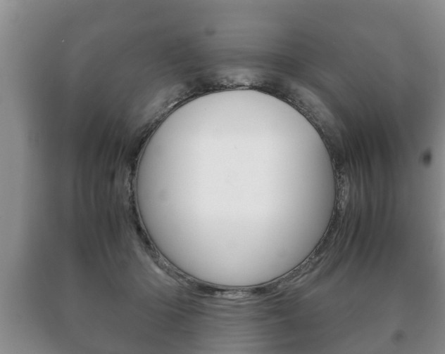 X0000091060414200708061004