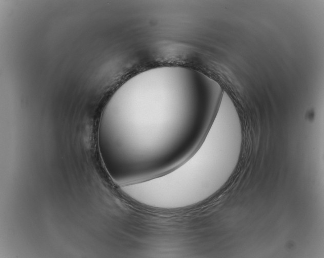 X0000091060416200708061004