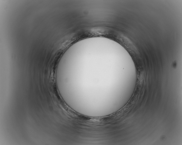 X0000091060418200708061004