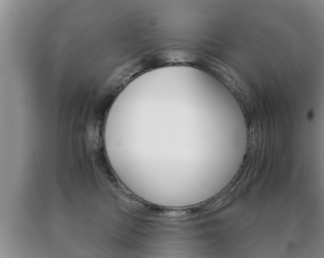 X0000091060422200708061004