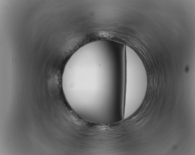 X0000091060424200708061004