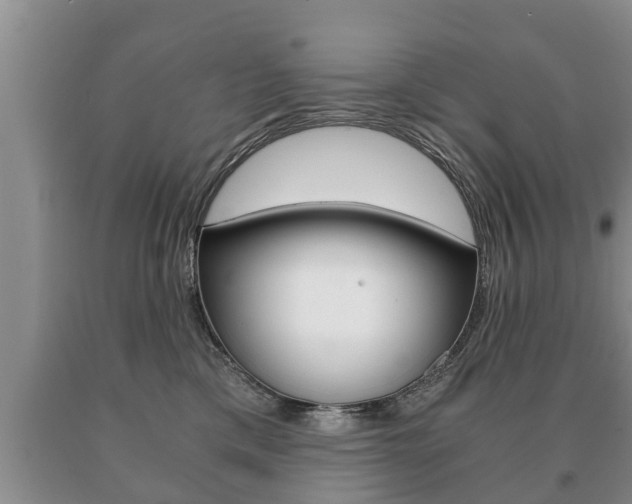 X0000091060425200708061004