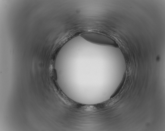 X0000091060427200708061004