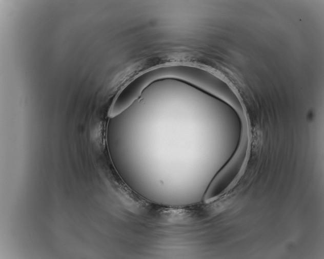 X0000091060428200708061004
