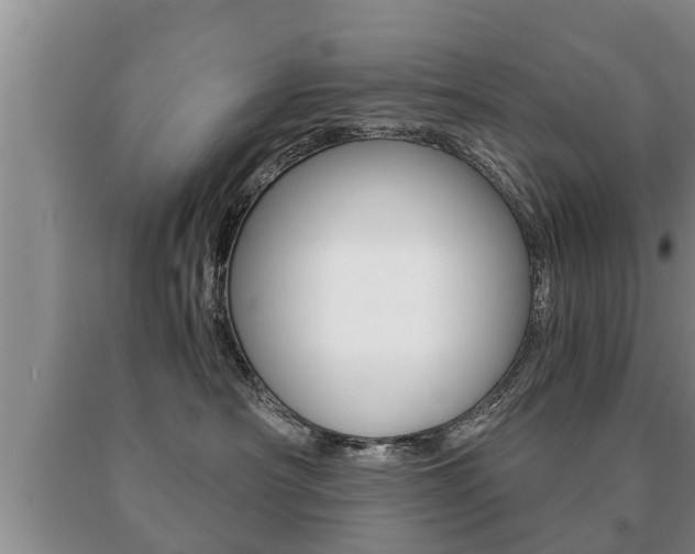 X0000091060430200708061004