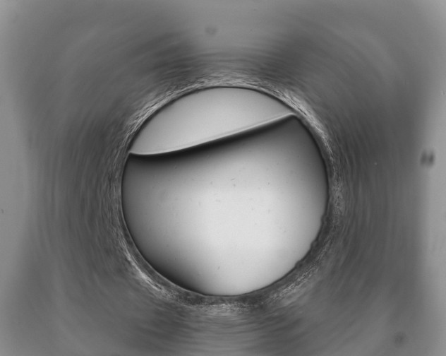 X0000091060433200708061003