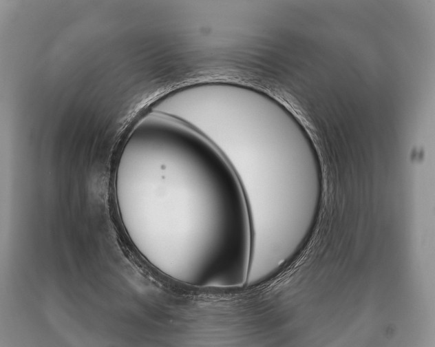 X0000091060434200708061003