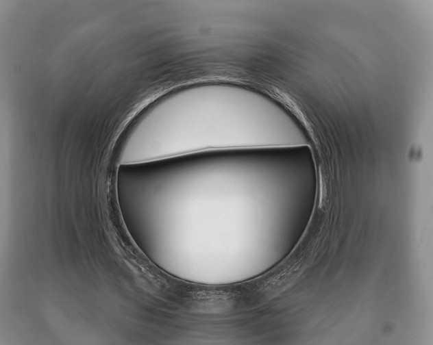 X0000091060435200708061004