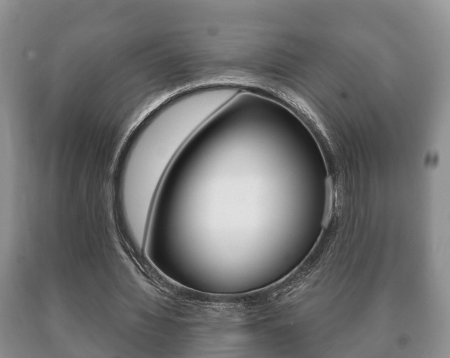 X0000091060436200708061004