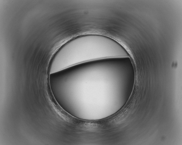 X0000091060437200708061004