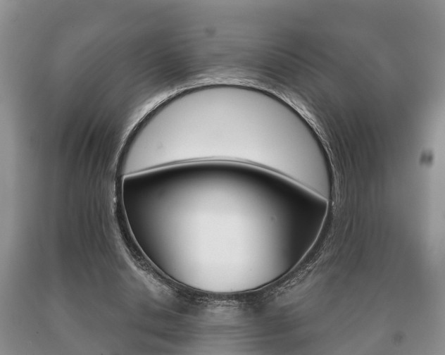 X0000091060438200708061004