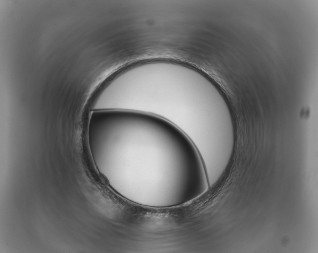 X0000091060440200708061004