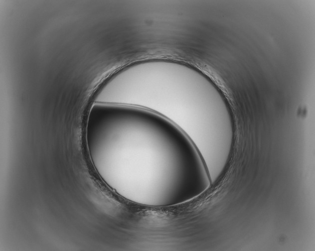 X0000091060442200708061004