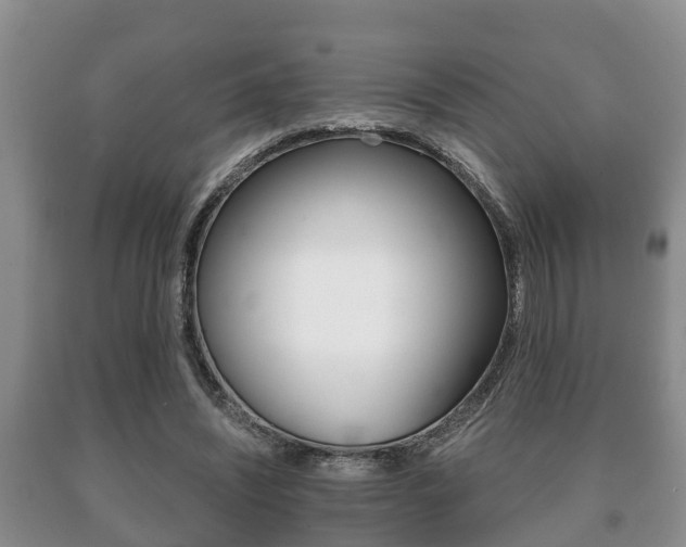X0000091060444200708061004