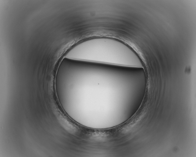 X0000091060445200708061004