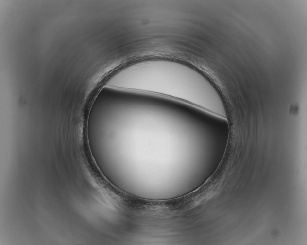 X0000091060446200708061004
