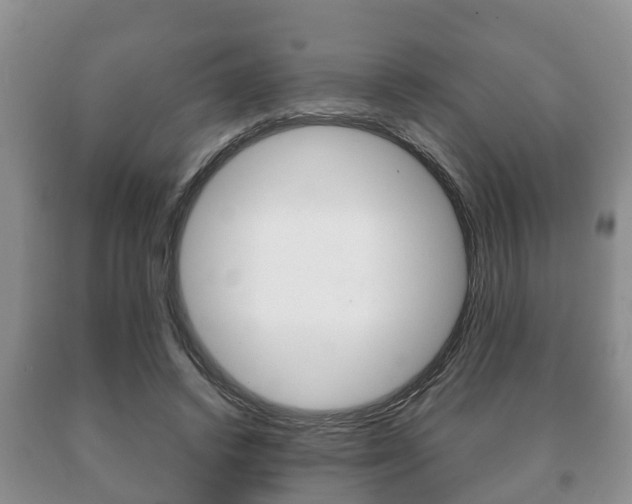 X0000091060448200708061004