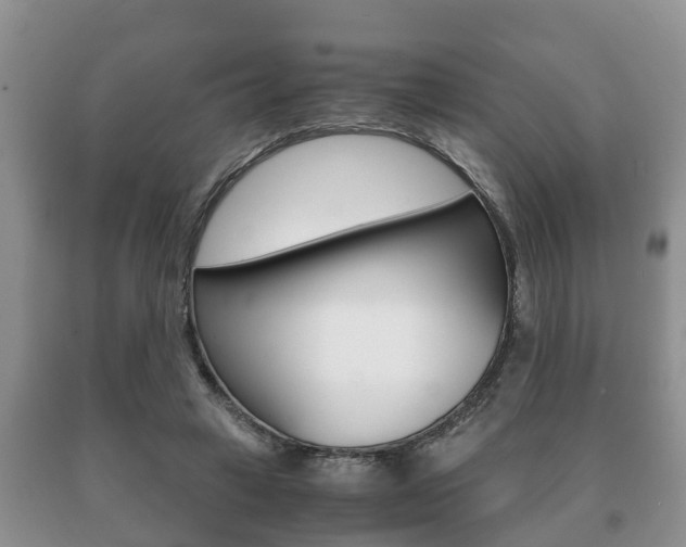 X0000091060449200708061004