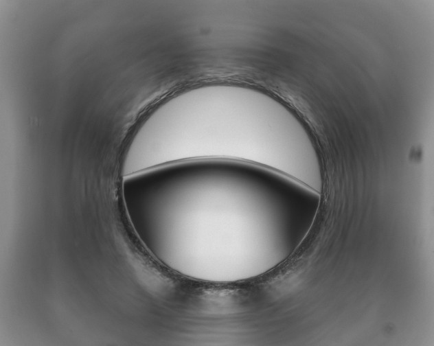 X0000091060450200708061004