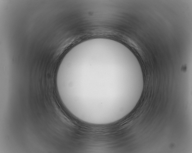 X0000091060452200708061004