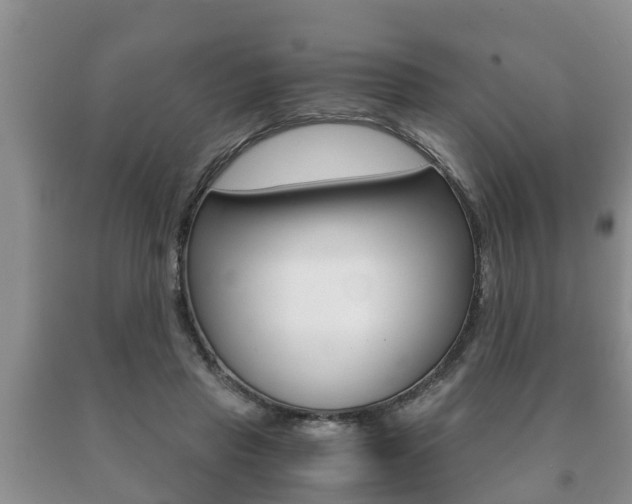 X0000091060453200708061004
