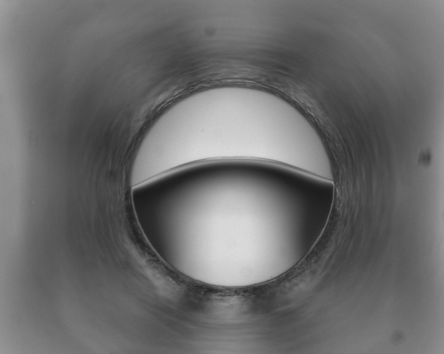 X0000091060454200708061004