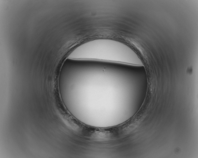 X0000091060455200708061004