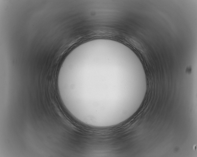 X0000091060456200708061004