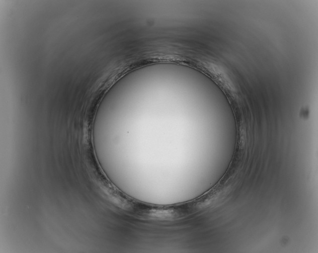 X0000091060457200708061004