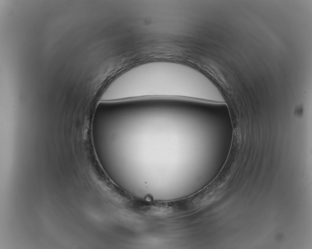 X0000091060458200708061004
