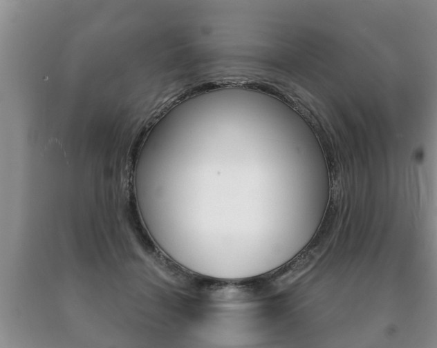X0000091060460200708061004