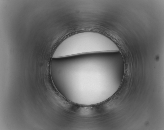 X0000091060461200708061004