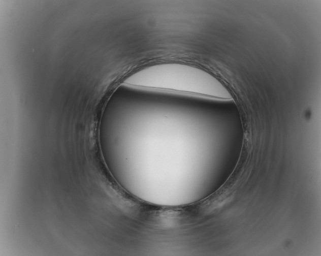 X0000091060462200708061004