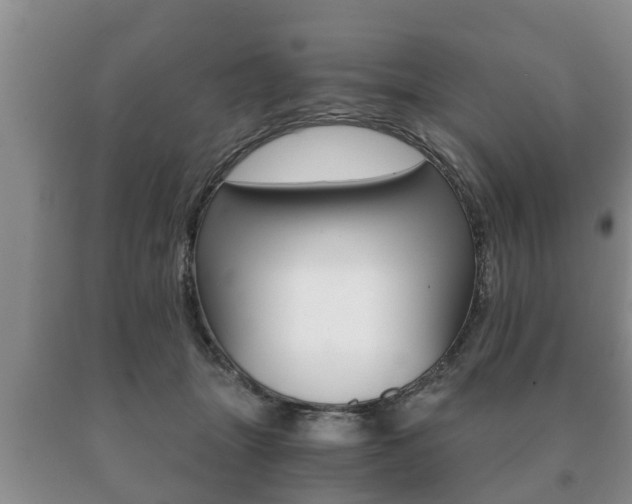 X0000091060463200708061004