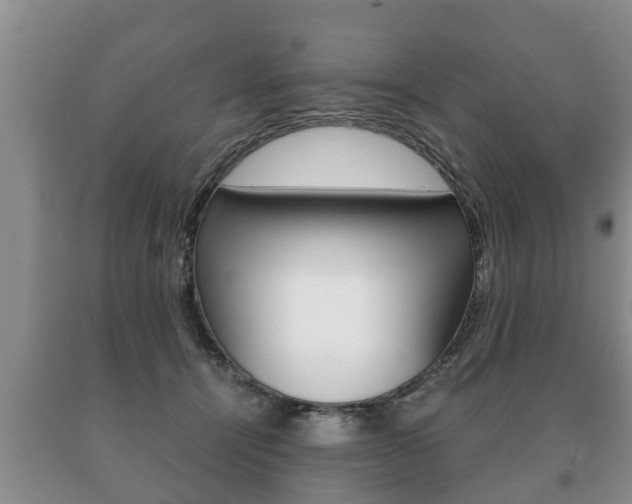 X0000091060464200708061004