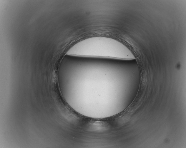 X0000091060467200708061004