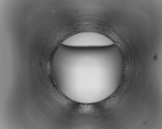 X0000091060469200708061004