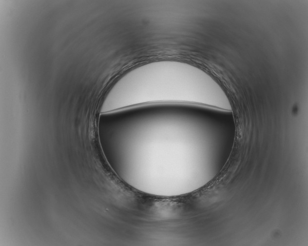 X0000091060470200708061004
