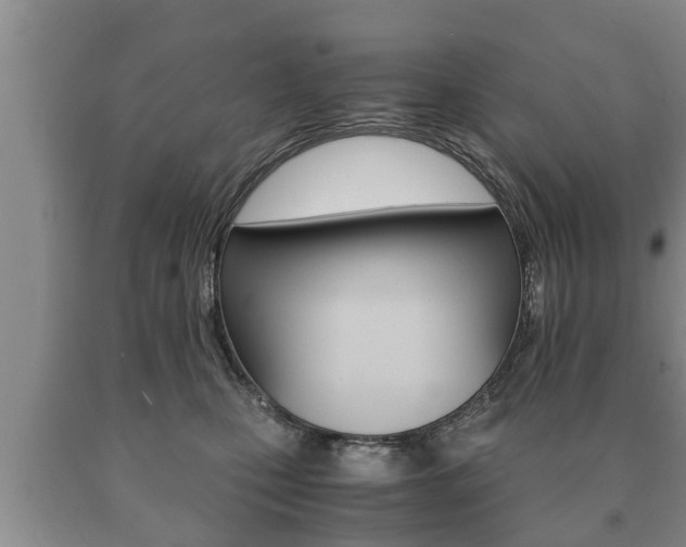 X0000091060471200708061004