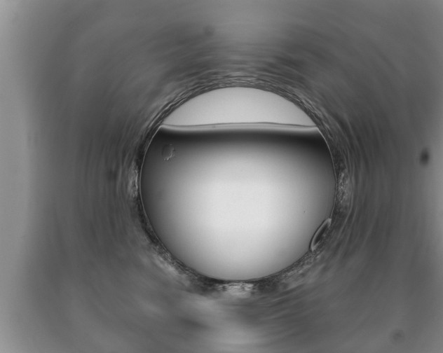X0000091060474200708061004