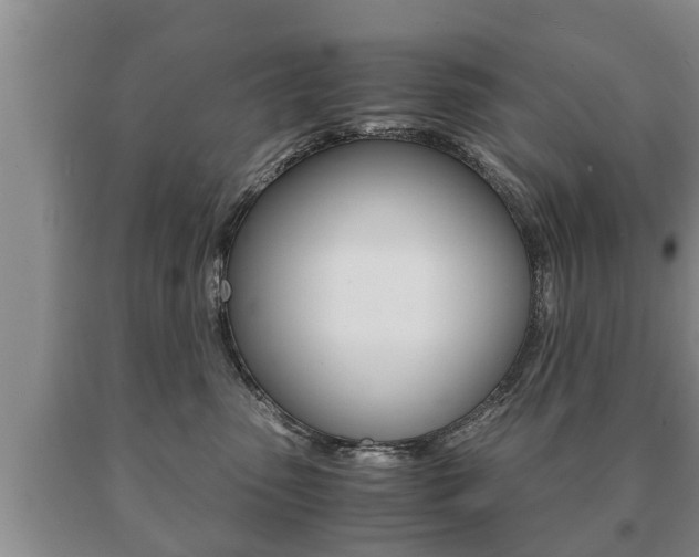 X0000091060475200708061004