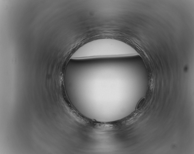 X0000091060476200708061004
