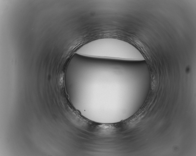 X0000091060477200708061004