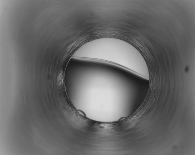 X0000091060478200708061004