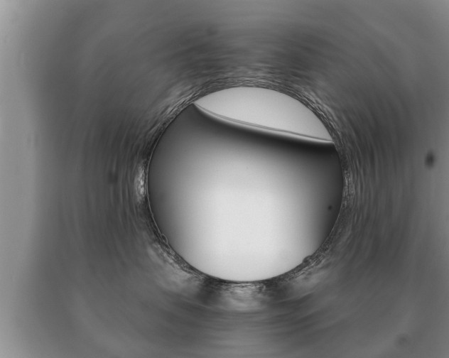 X0000091060479200708061004
