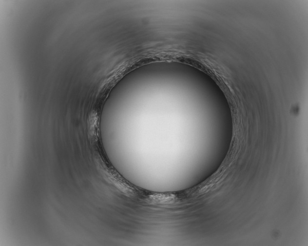 X0000091060480200708061004