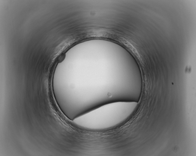 X0000091060482200708061003