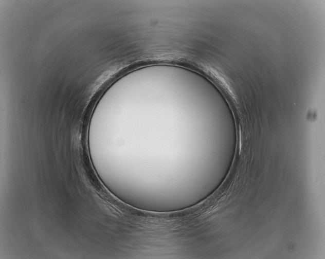 X0000091060483200708061003
