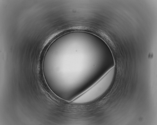 X0000091060484200708061003